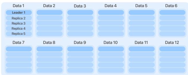 (a) 复制簇:12 个数据容器, 各 5 副本